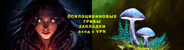 spice Алексин
