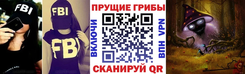купить наркотик Электрогорск Галлюциногенные грибы MAGIC MUSHROOMS